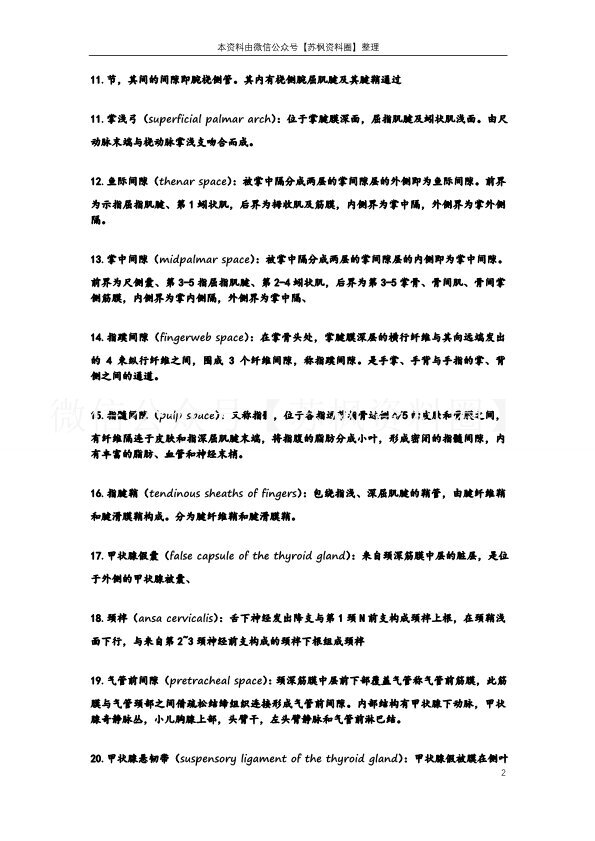 局部解剖学